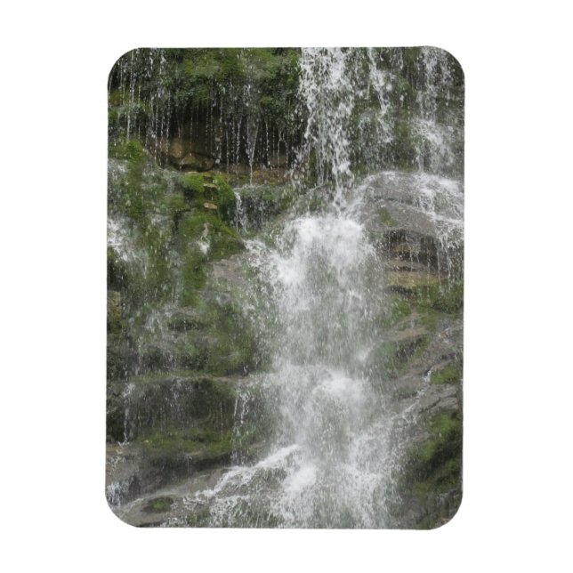 La Chute Waterfall in Forillon National Park Magnet (Vertical)