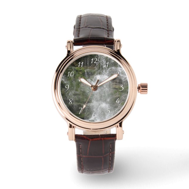 La Chute Waterfall in Forillon National Park      Watch (Front)