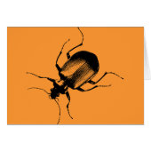 La Cucaracha (Front Horizontal)