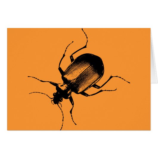 La Cucaracha (Front Horizontal)