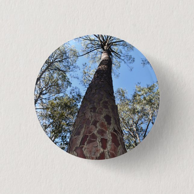 La Gerche Ponderosa Pine Badge Button (Front)