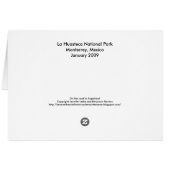 La Huasteca National Park Cards (Back Horizontal)