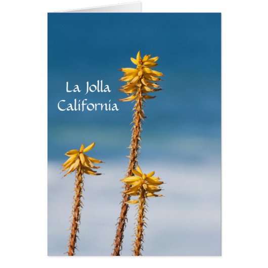La Jolla Agave and Ocean Cards (Front)