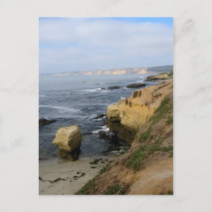 La Jolla Beach Seabirds Custom California Postcard