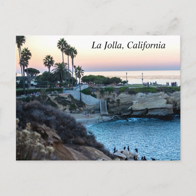 La Jolla California Coast Postcard (Front)