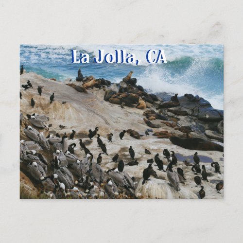 La Jolla California Post Card