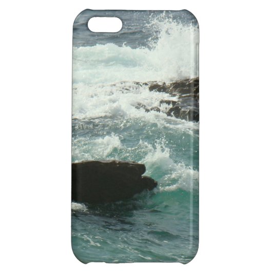 La Jolla Case (Back)