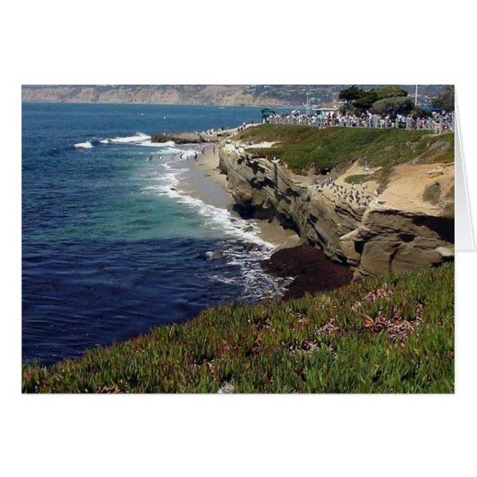 La Jolla Cove Cards (Front Horizontal)