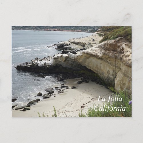 La Jolla Cove in California Postcard