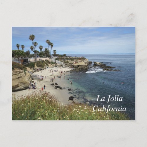 La Jolla Cove in California Postcard