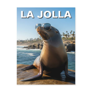 La Jolla Sea Lion California Travel Postcard