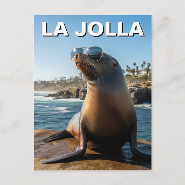 La Jolla Sea Lion California Travel Postcard (Front)
