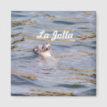 La Jolla Seal Magnet