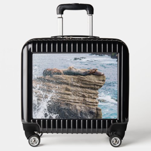 La Jolla Seals 17 Panel Pilot Case Spinner Luggage