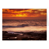 La Jolla Tide Pools (Front Horizontal)