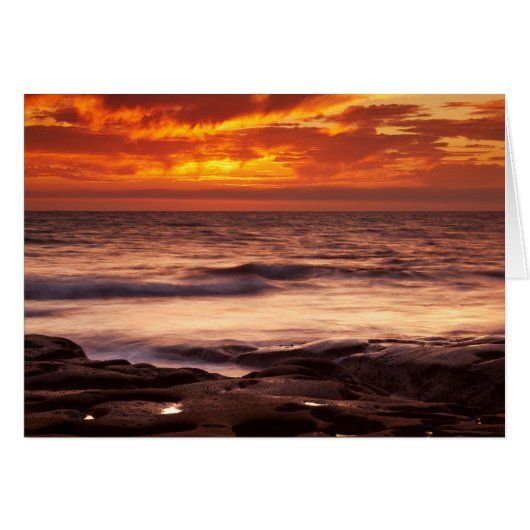 La Jolla Tide Pools Cards (Front Horizontal)