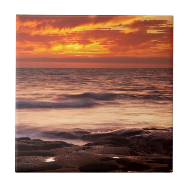La Jolla Tide Pools Ceramic Tile (Front)