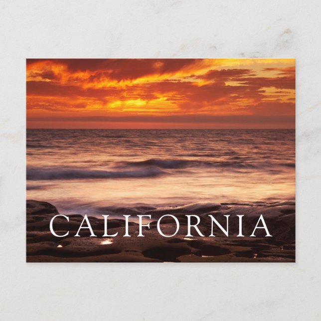 La Jolla Tide Pools Postcard (Front)