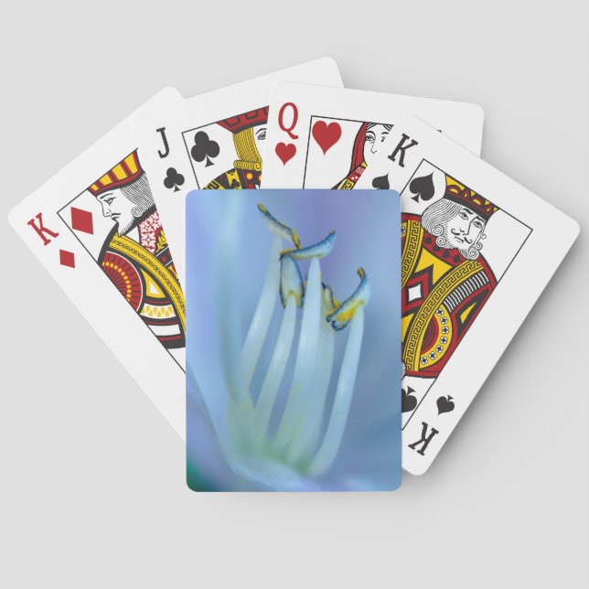 La La Land  Poker Cards (Back)