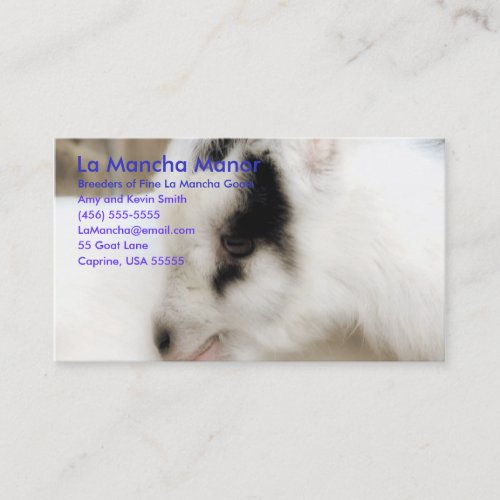 La Mancha Manor Business Card