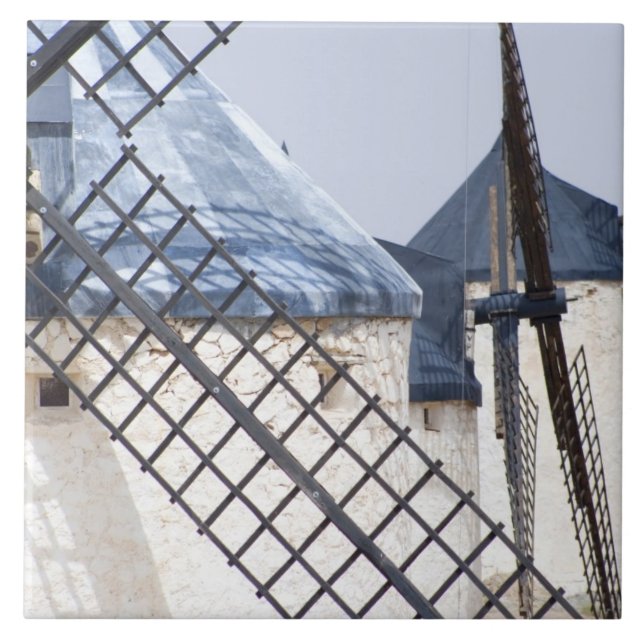 La Mancha, Spain. Don Quixote famously tilted at Tile (Front)