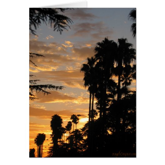 LA Palm Tree Sunset Art Card (Front)