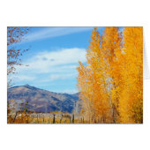 La Platas Autumn (Front Horizontal)