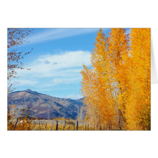 La Platas Autumn Cards