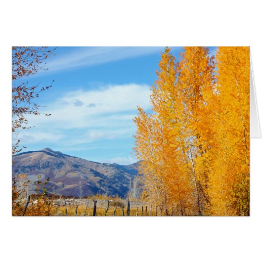 La Platas Autumn Cards (Front Horizontal)