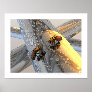 La rencontre - The meeting (golden version) Poster