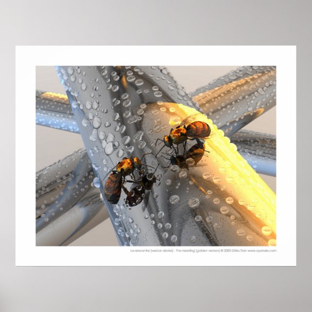 La rencontre - The meeting (golden version) Poster (Front)