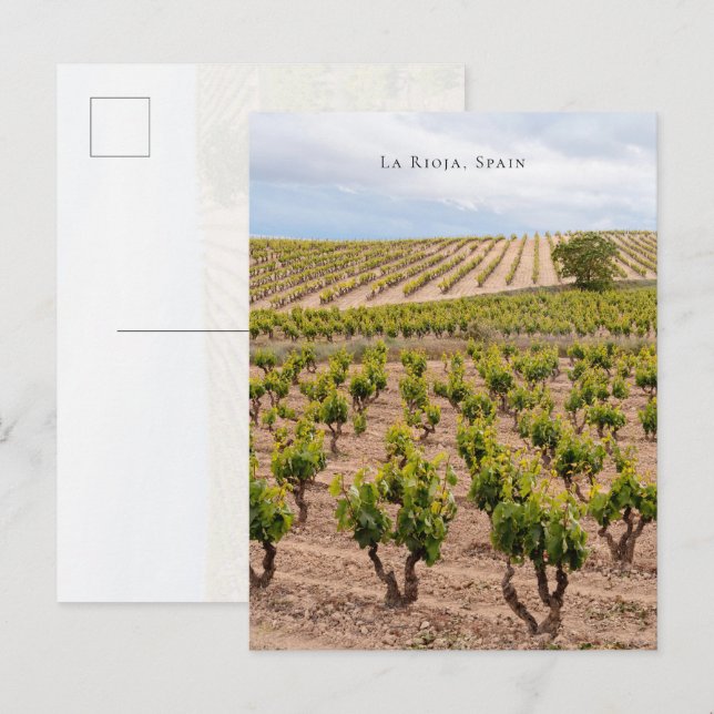 La Rioja, Spain Vineyard Landscape Postcard (Front/Back)