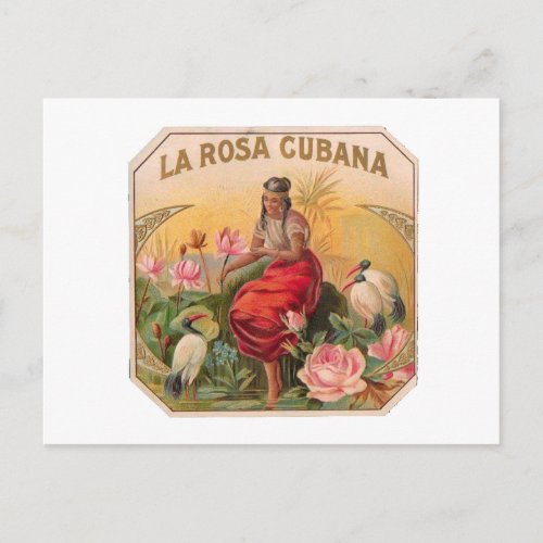 La Rosa Cubana Diseo Vintage Cuba Postcard