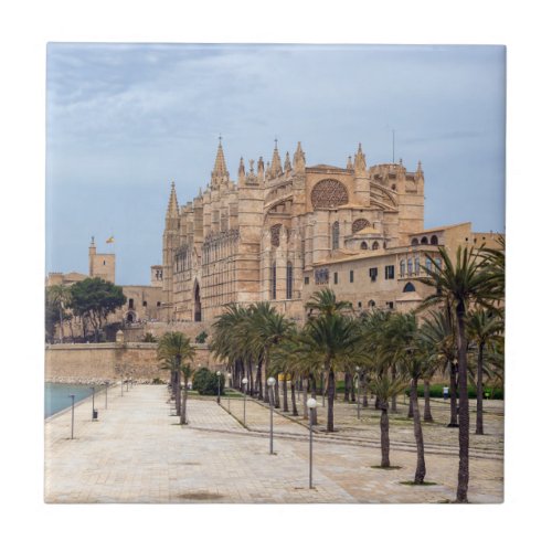 La Seu the Cathedral of Palma de Mallorca _ Spain Ceramic Tile