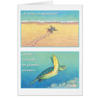 La Tortuga de Mar, tarjeta Cards