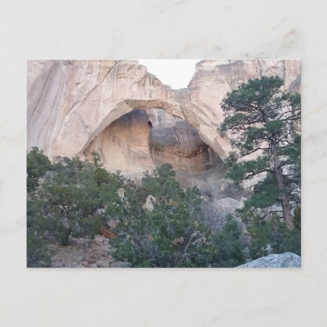 La Ventana Arch at El Malpais Nat'l Park Postcard (Front)