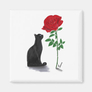 la vie en rose de Pacha Magnet