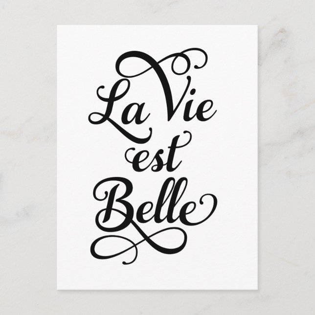 la vie est belle, life is beautiful, French quote Postcard (Front)