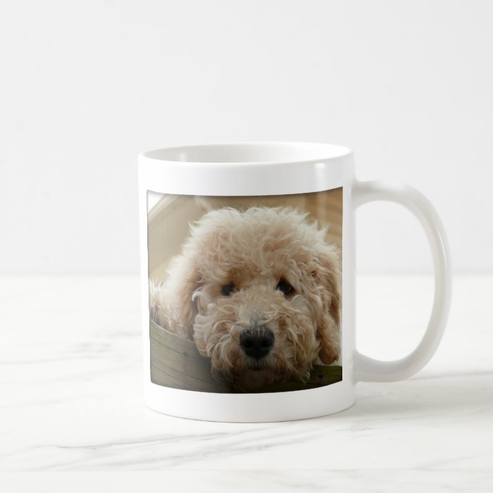 Lab a doodle gifts coffee mugs