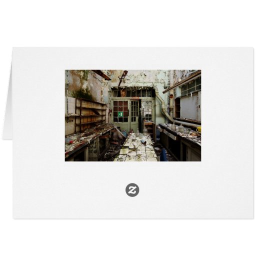 Lab Decay (Back Horizontal)