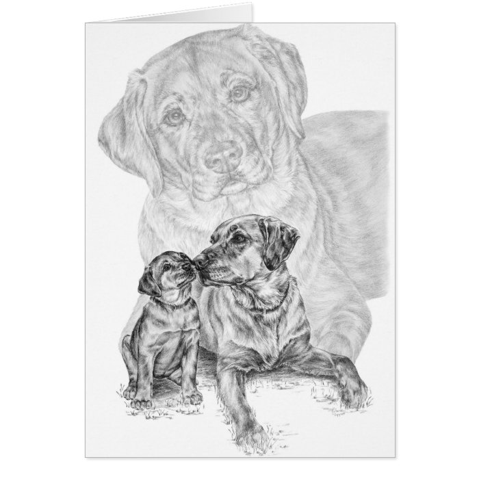 Lab Dog & Puppy Drawing by Kelli Swan Cards