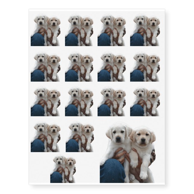 Lab Family Temporary Tattoos (Front)