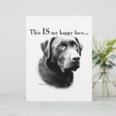 Lab Happy Face (Standing Front)