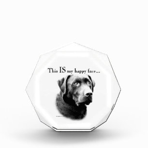 Lab Happy Face Acrylic Award