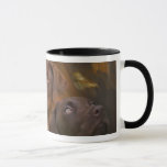 Lab In Autumn Art Mug