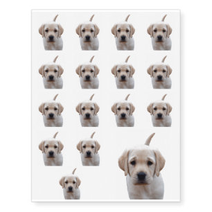 Lab In Your Face Temporary Tattoos