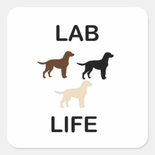 lab life all colors silhouettes square sticker