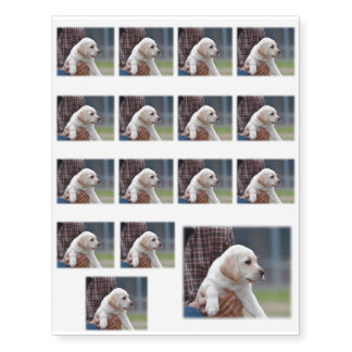Lab Looking Temporary Tattoos