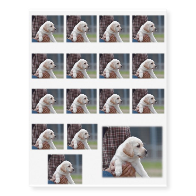 Lab Looking Temporary Tattoos (Front)