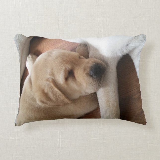 Lab Love Pillow (Front)